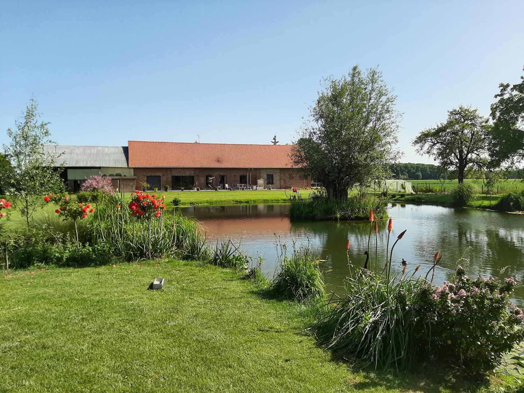 chambre coin nature Fromelles Chambre photo